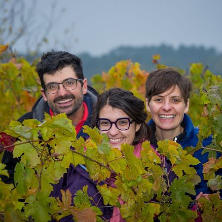 domaine chevalerie famille caslot bourgueil