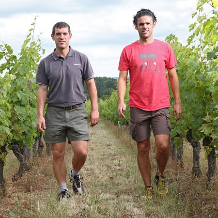 Domaine Marchesseau à Bourgueil