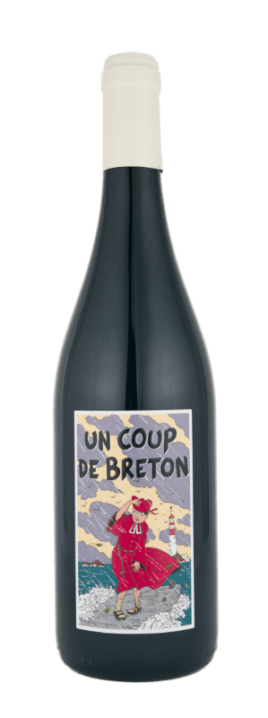 Vin rouge Bourgueil cabernet franc