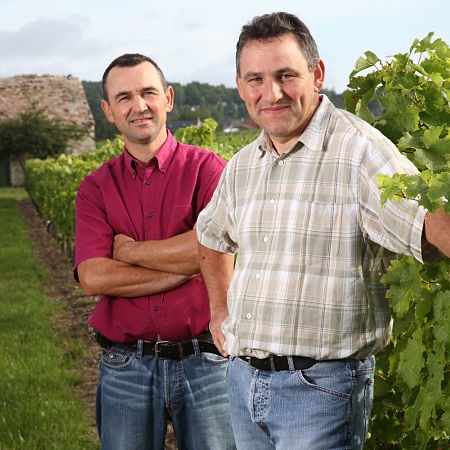 Domaine de la Roseraie à Bourgueil