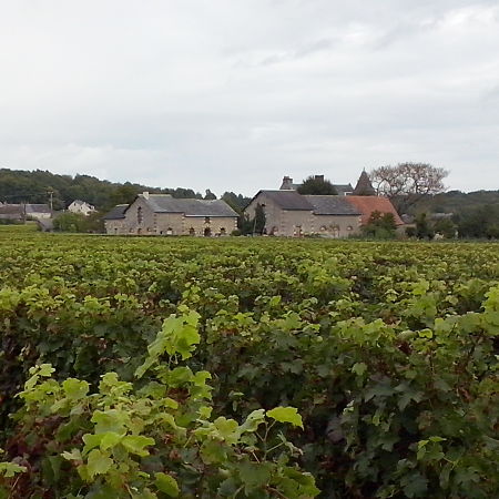 Nicolas Demont Bourgueil