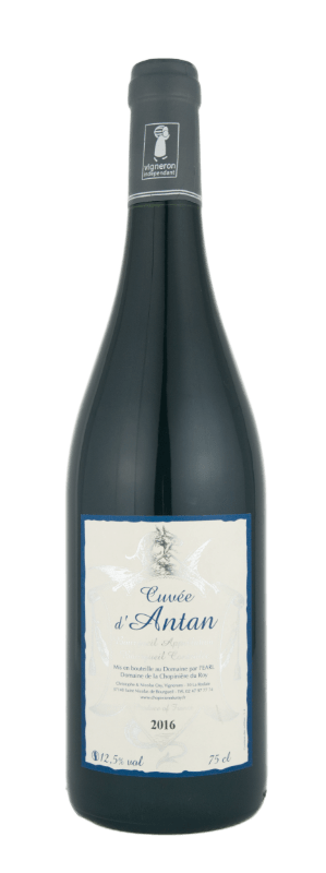 Vin rouge Bourgueil cabernet franc