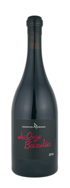 Vin rouge Bourgueil cabernet franc