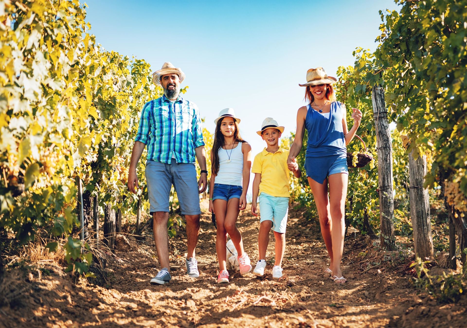famille vignes randonnée bourgueil cabernet franc