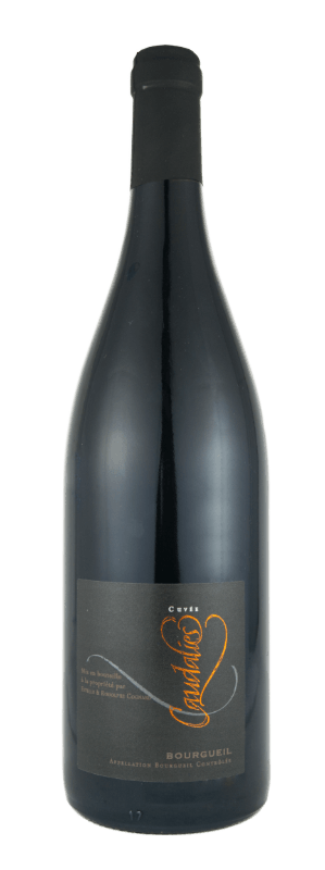 domaine cognard bourgueil